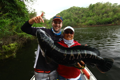 biggest giant snakehead